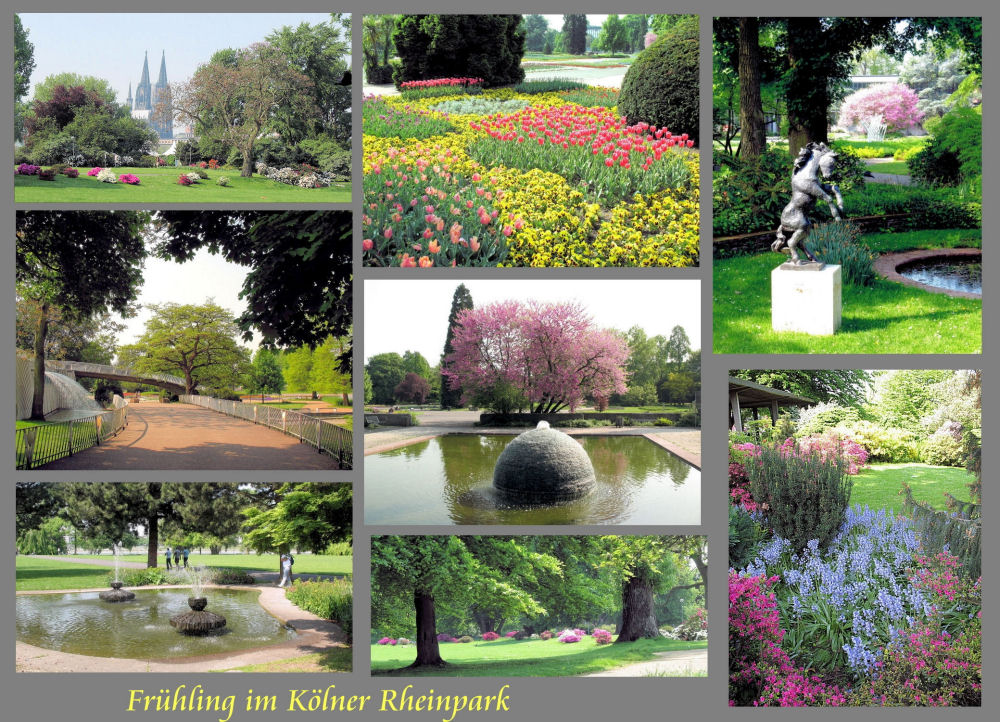 Kölner Rheinpark im Frühjahr