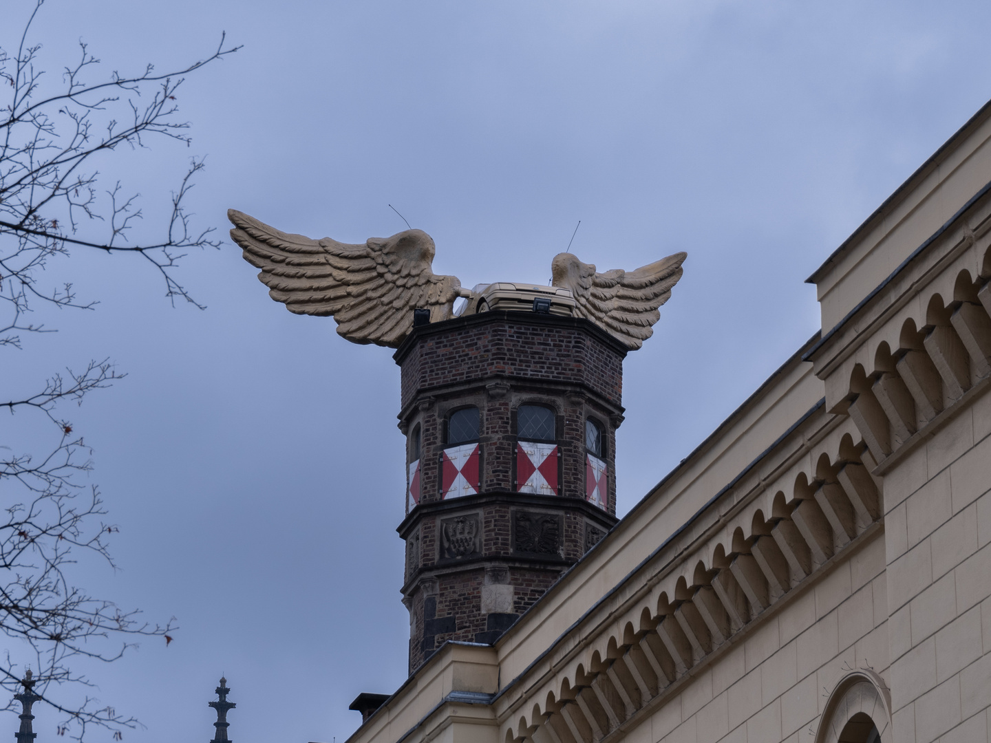 Kölner Sicht der Dinge