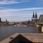 Kölner Skyline mit Blumen