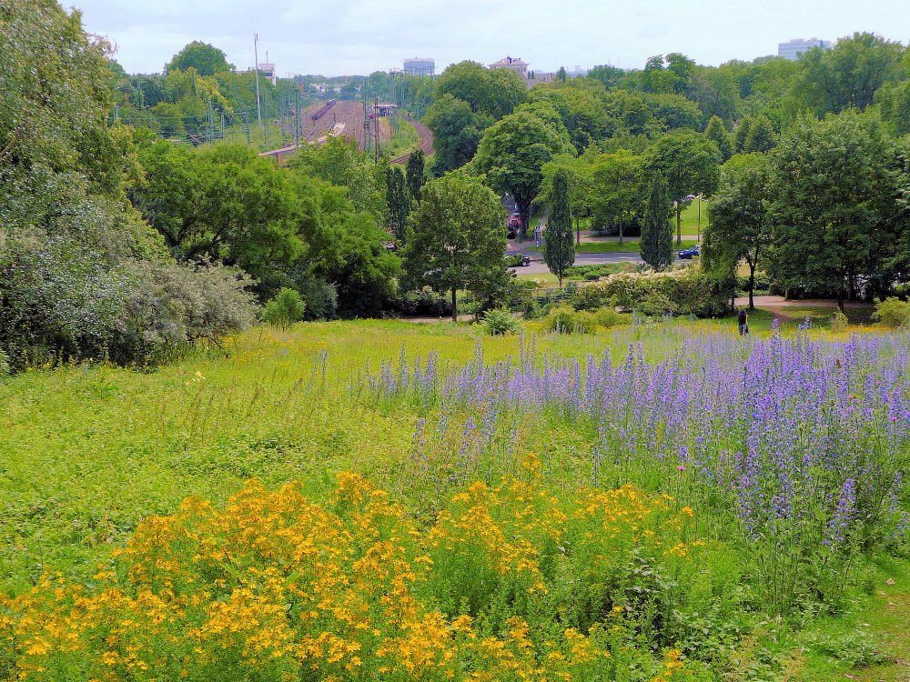 Kölner Sommer