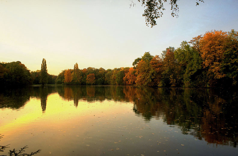 Kölner Stadtwald - Abenddämmerung