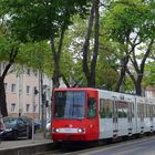 Kölner Straßenbahn im frischen Frühling