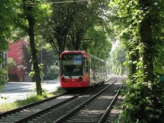 Kölner Straßenbahn im Grünen