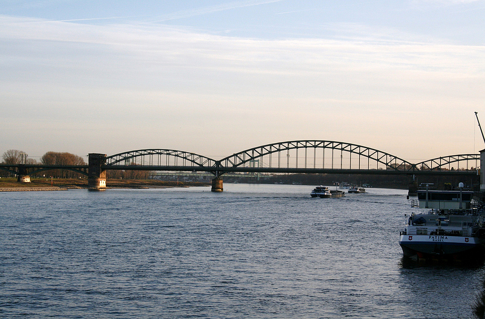 Kölner Südbrücke (2) (29.11.2011)