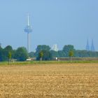 Kölner Wahrzeichen vom Loevenicher Feld aus gesehen.