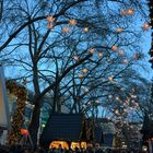 Kölner Weihnachtsmarkt