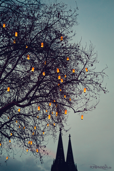 Kölner Weihnachtsmarkt