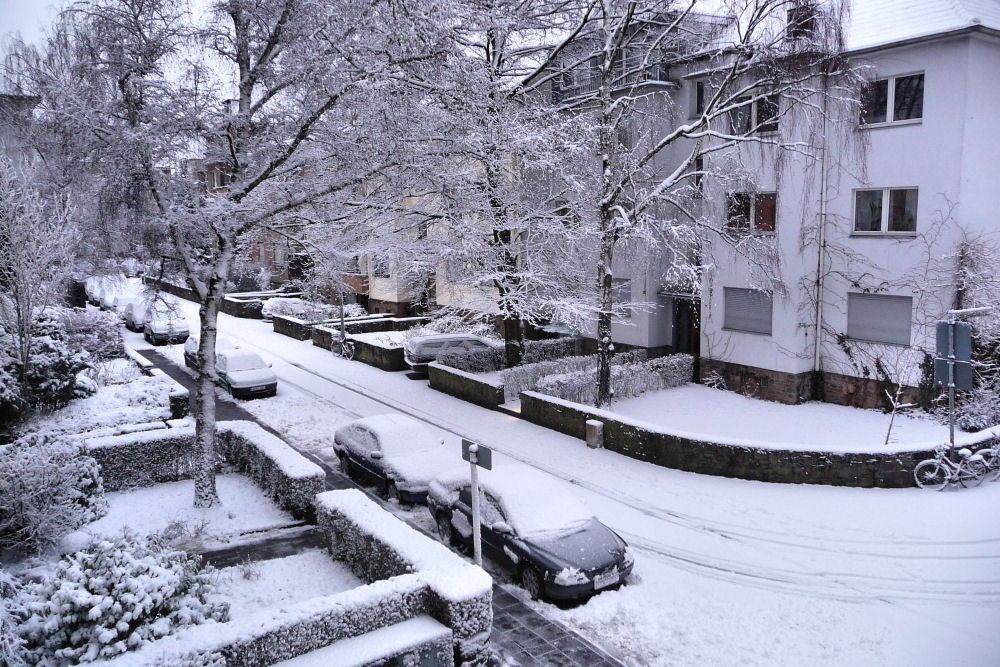 Kölner Wetterlage heute Morgen in meiner Straße