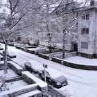 Kölner Wetterlage heute Morgen in meiner Straße