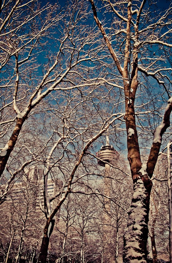 Kölner Winter