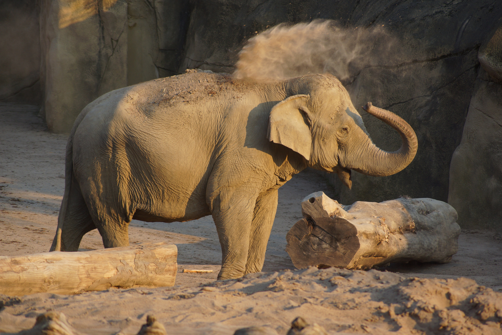 Kölner Zoo