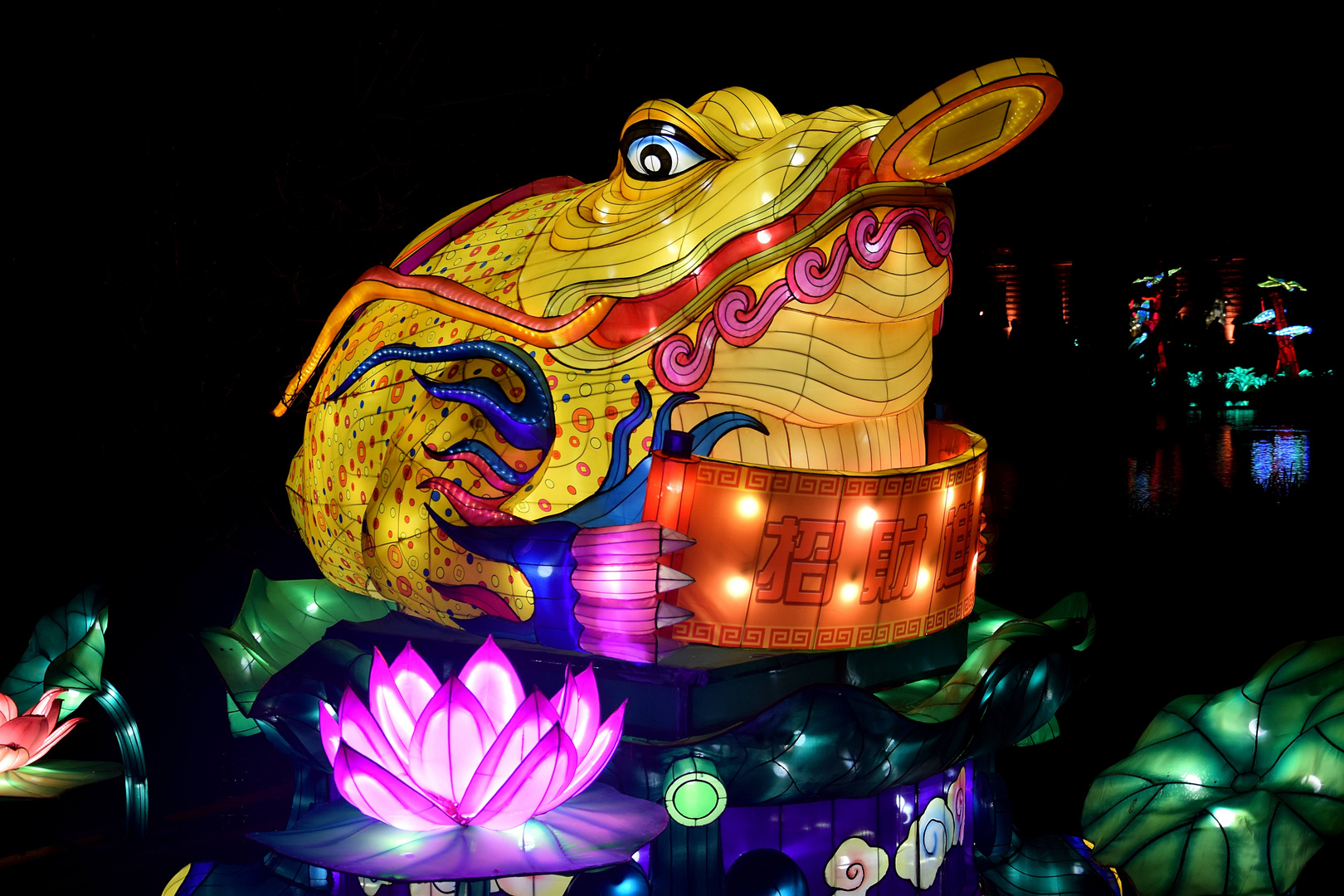 Kölner Zoo - China Light Festival 04