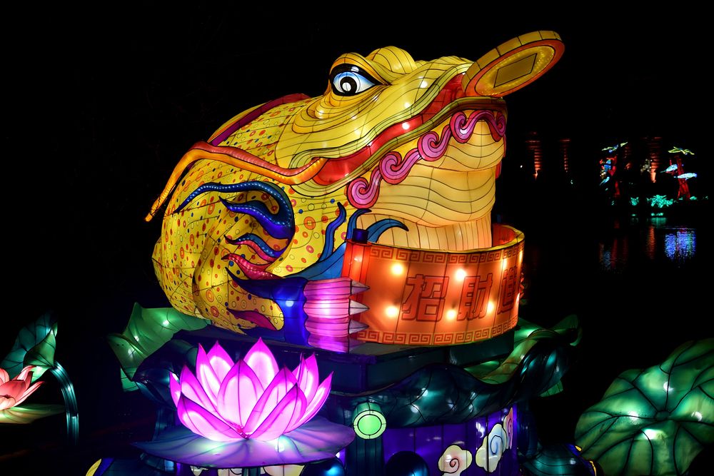 Kölner Zoo - China Light Festival 04