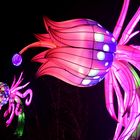 Kölner Zoo - China Light Festival 15