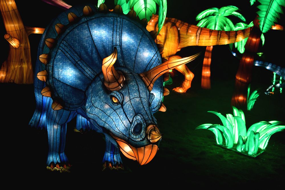 Kölner Zoo - China Light Festival 21