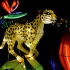 Kölner Zoo - China Light Festival 27