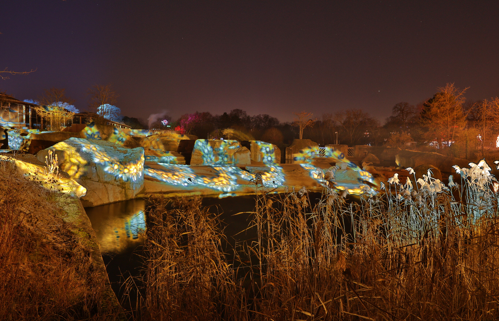 Kölner Zoo Köln Christmas Garden 2021