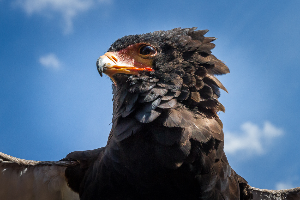 Kölner Zoo_02