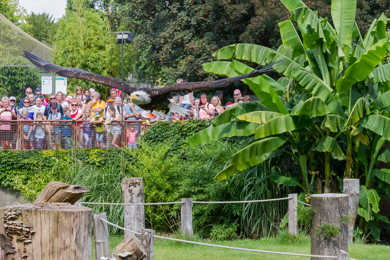 Kölner Zoo_03