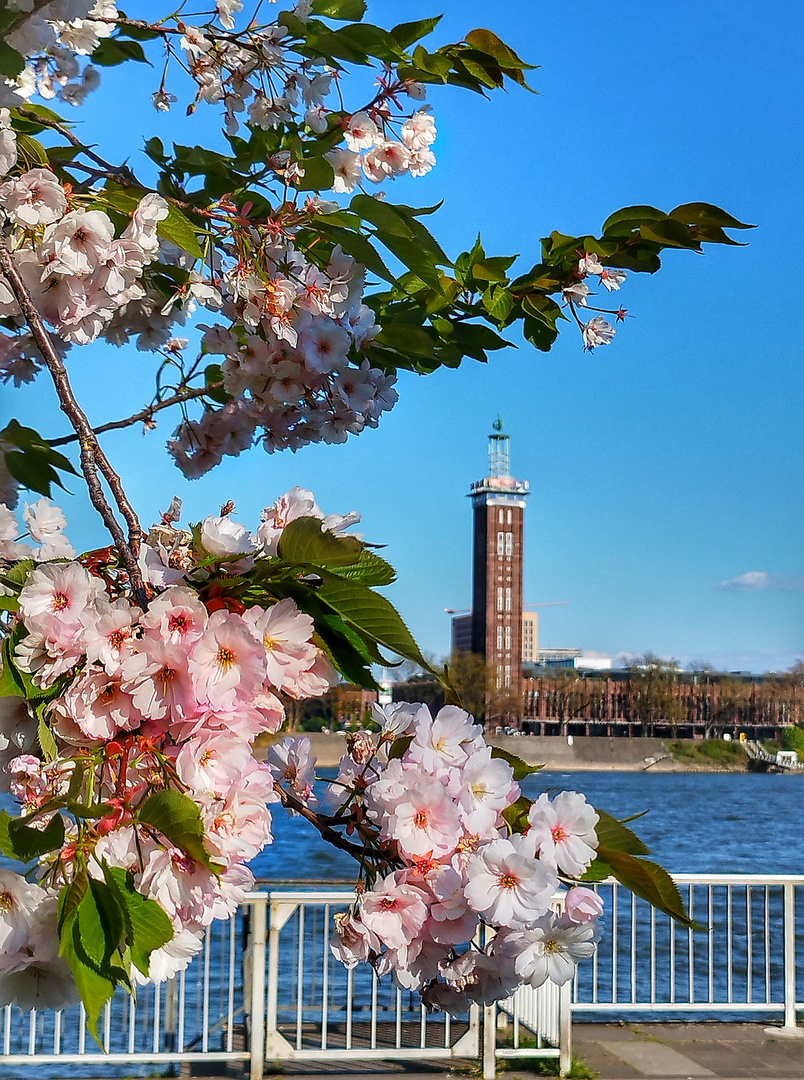 KölnerKlassikerAndersGesehen 24 - Kölner Messe in Frühling 