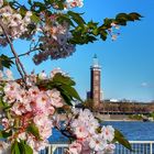 KölnerKlassikerAndersGesehen 24 - Kölner Messe in Frühling 