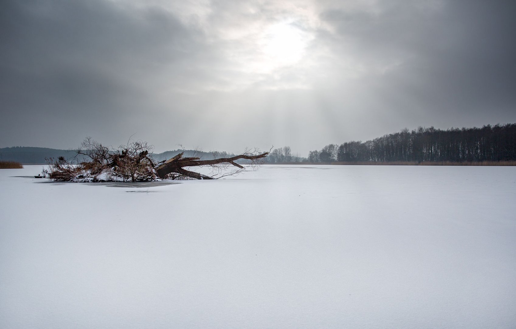 Kölpingsee auf Usedom