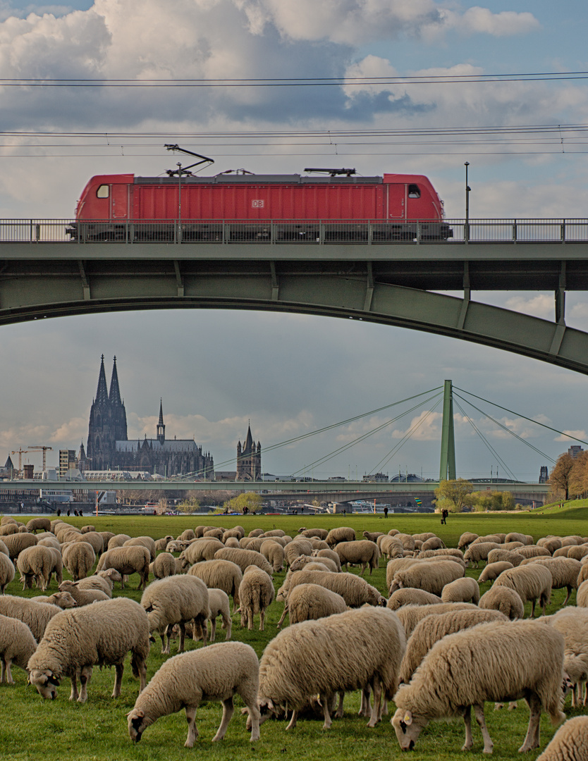 Kölsche Momentaufnahme . . . 