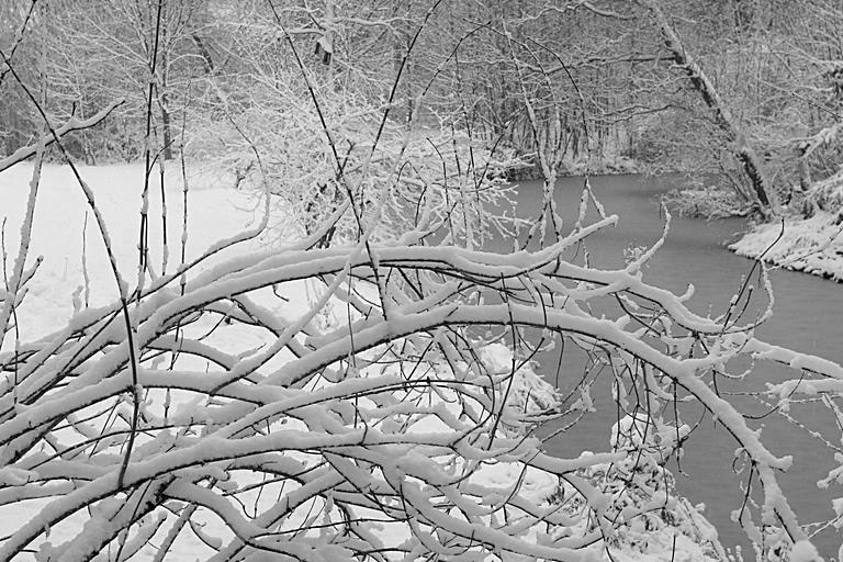 Kölscher Schnee (unglaublich, aber wahr ;-) s/w