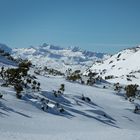 "König Dachstein"