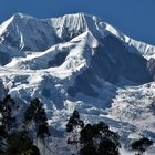 König der "Cordillera Real"