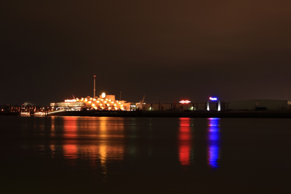 König der Löwen bei Nacht