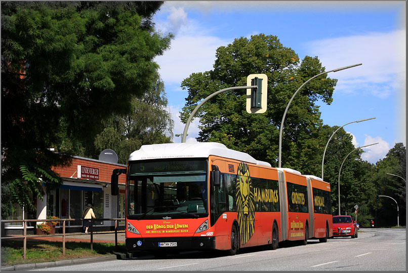 König der Löwen - König der Busse