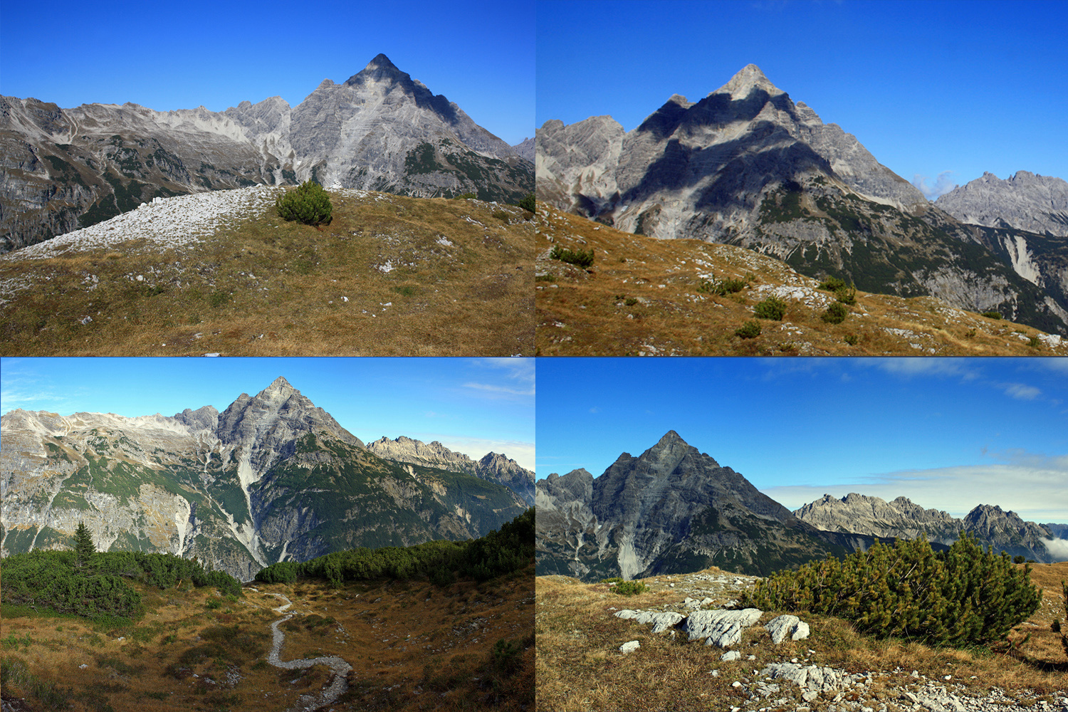 König Hochvogel!