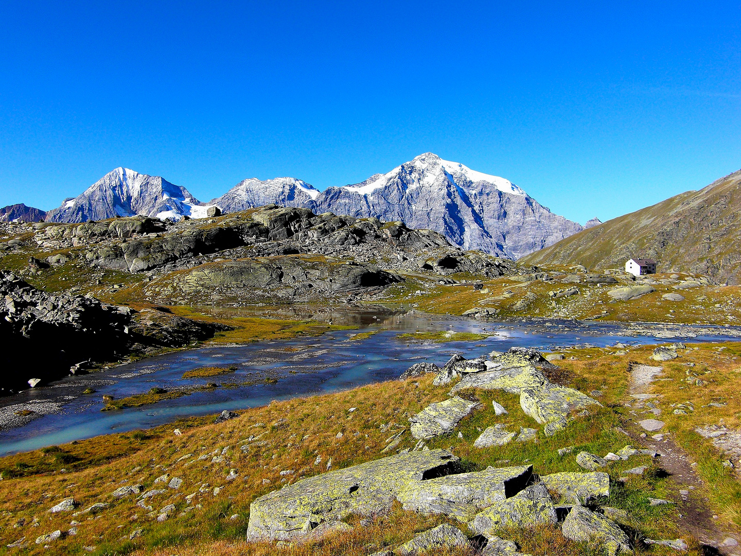 König Ortler