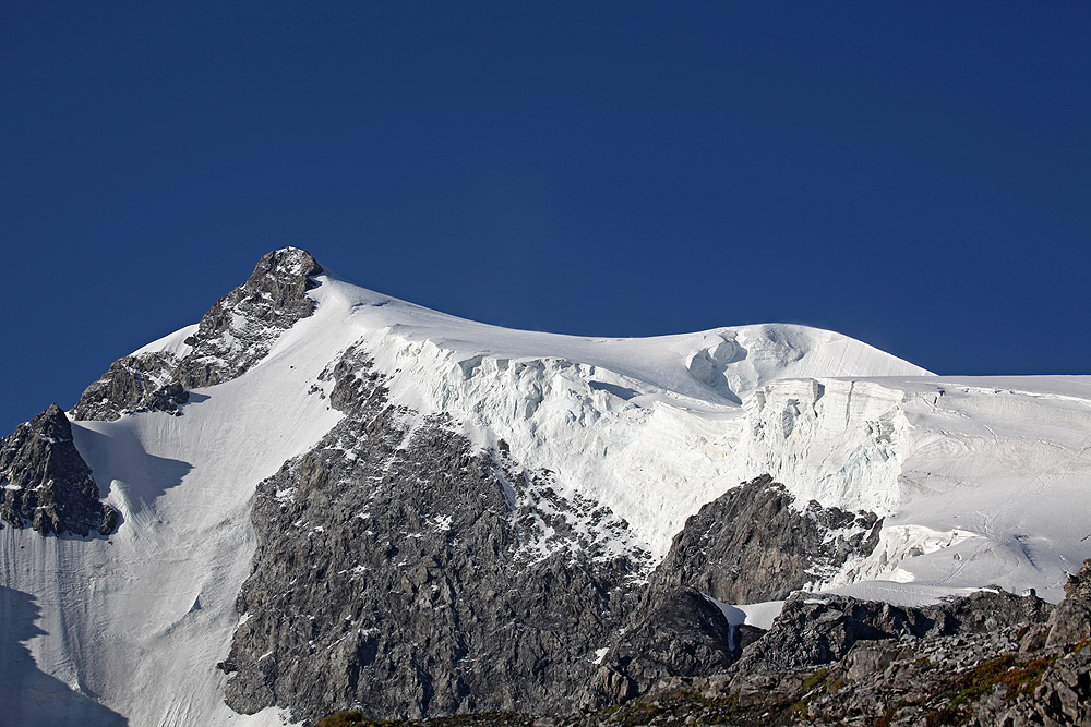 König Ortler (3905 m)