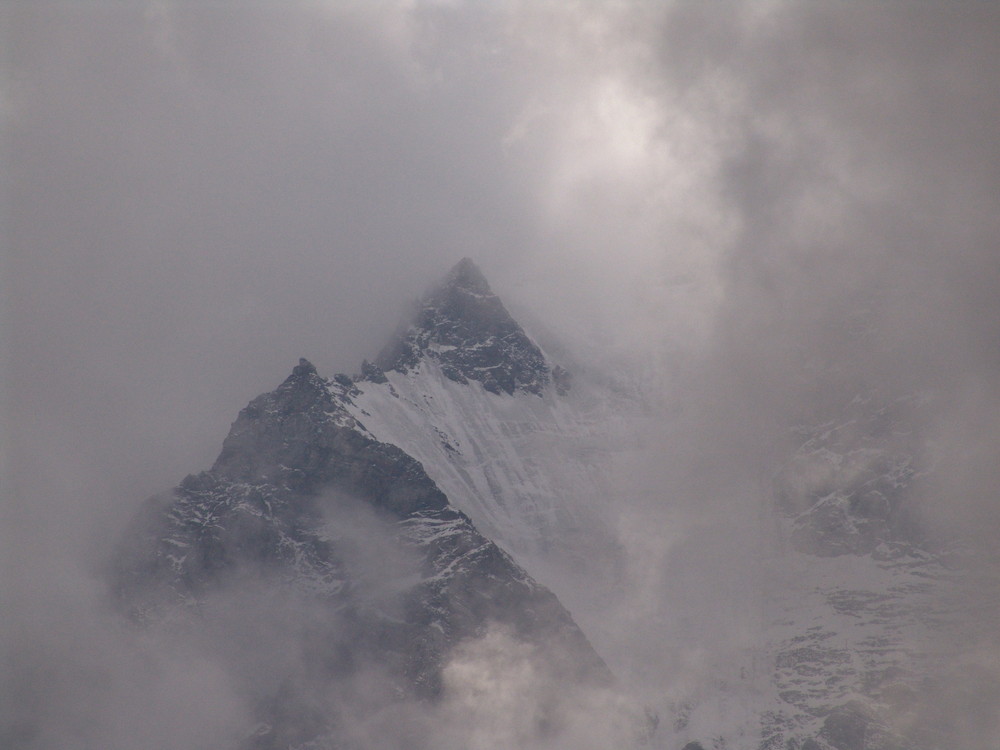 König Ortler