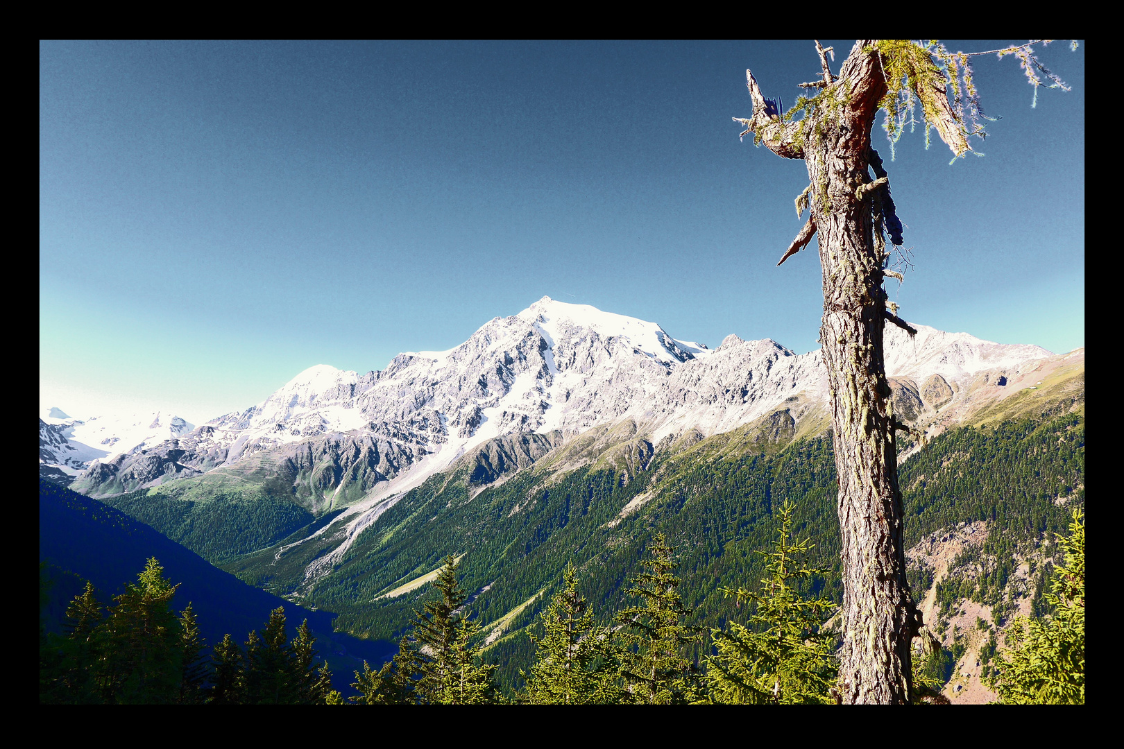 König Ortler