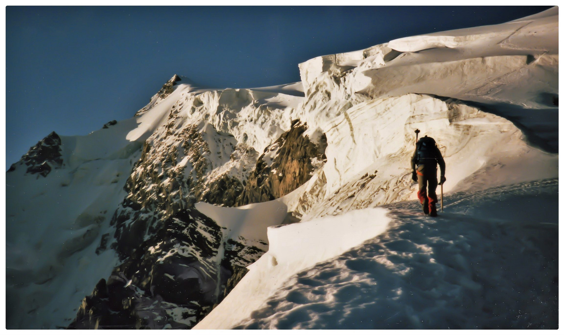 König Ortler