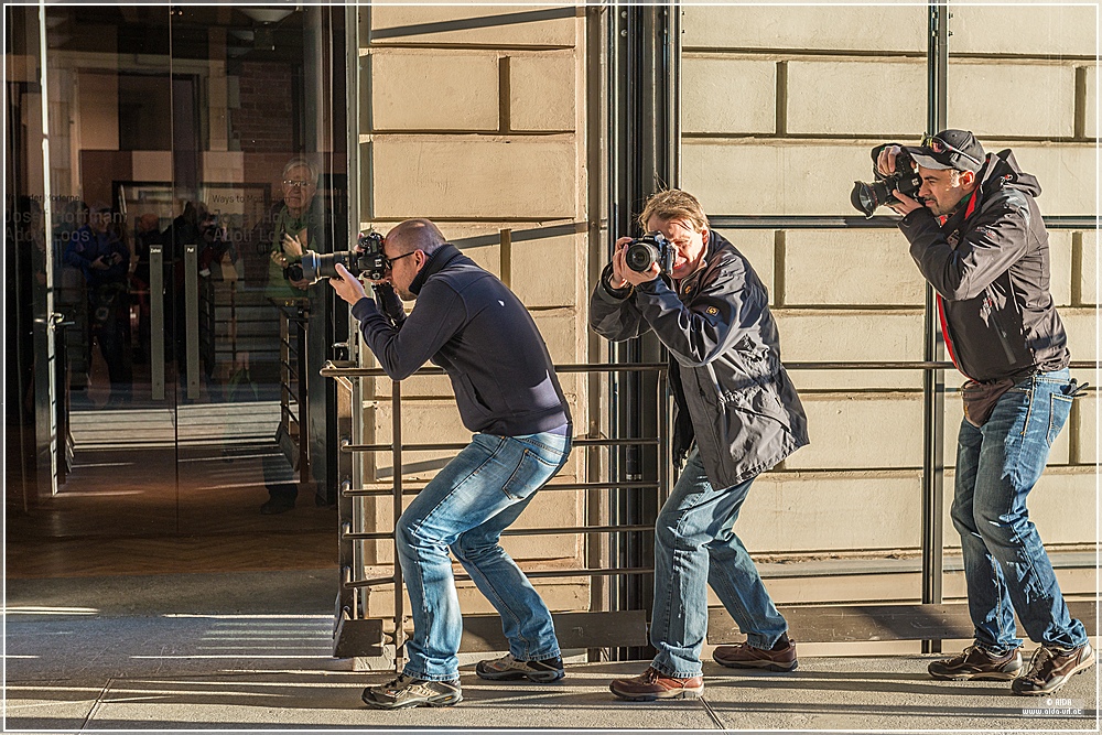 könige, prinzessinnen und joker 2015