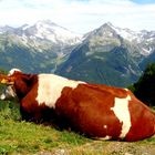 Königin der Alpen