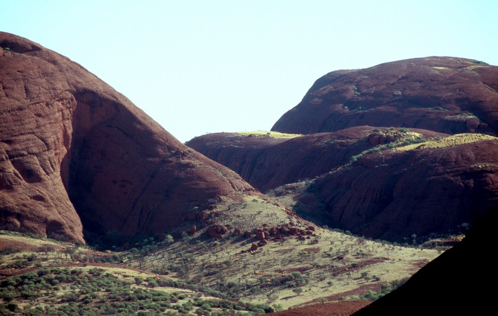 Königin von Württemberg im Outback