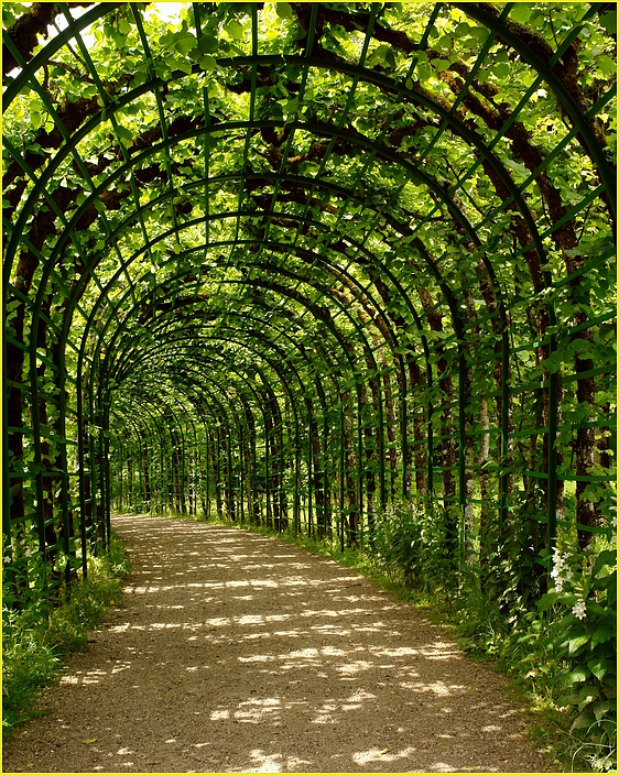 königlich wandeln ...