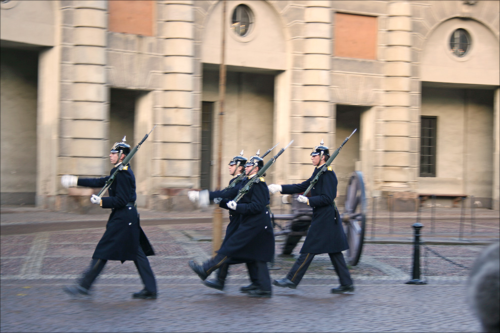 Königliche Bewacher