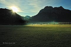 Königliche Morgenstimmung