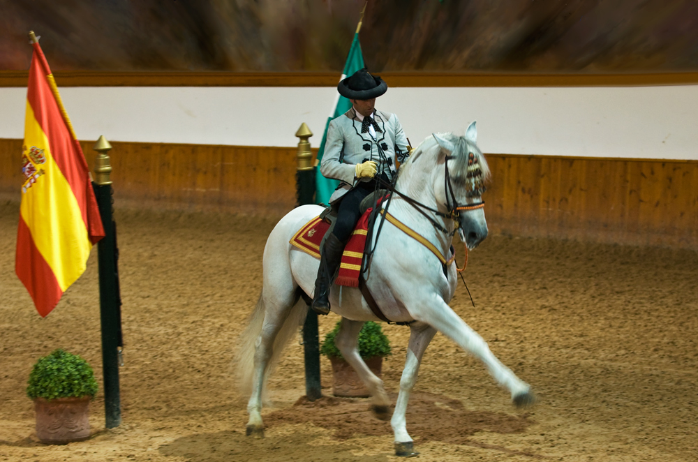 Königliche Reitschule Jerez