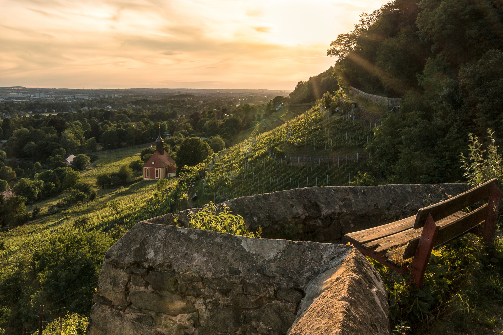 Königliche Weinberge I