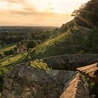 Königliche Weinberge I