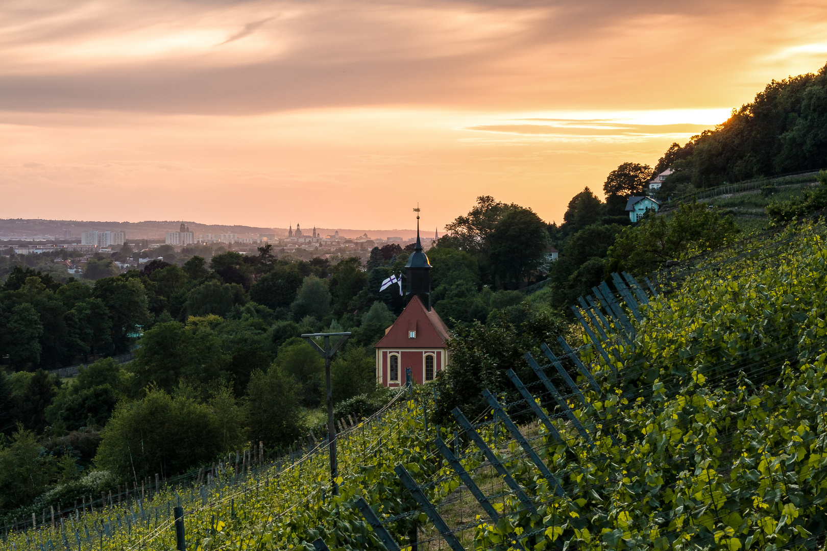 Königliche Weinberge II