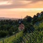 Königliche Weinberge II