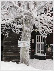 Königliche Winterbeutel vom Baum? :-))